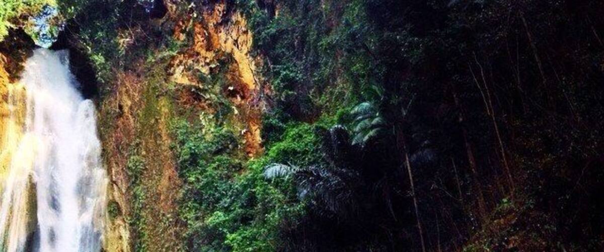 A waterfall cascading down a rocky cliff surrounded by lush greenery.