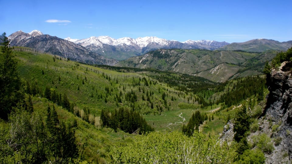 A mountainous landscape with snow-capped peaks in the distance, dense forests, and a valley.