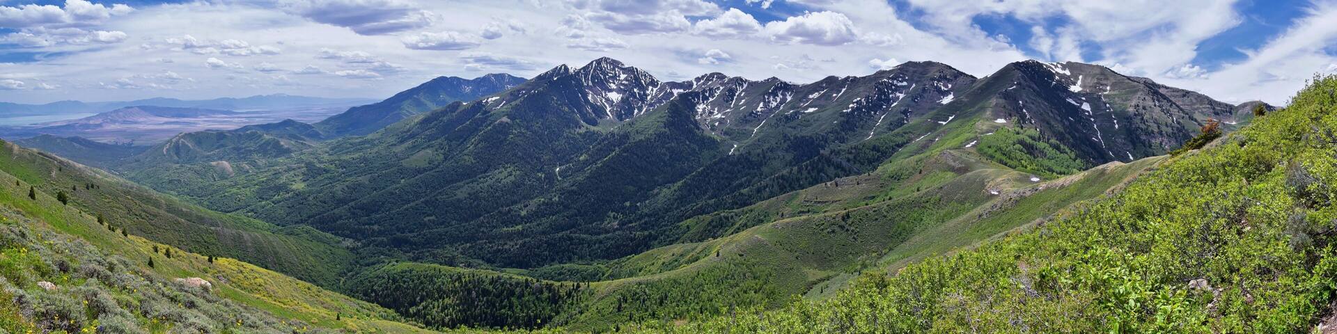 A mountainous landscape with lush greenery and snow-capped peaks.
