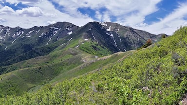 Paisagem montanhosa com vegetação exuberante e picos nevados.