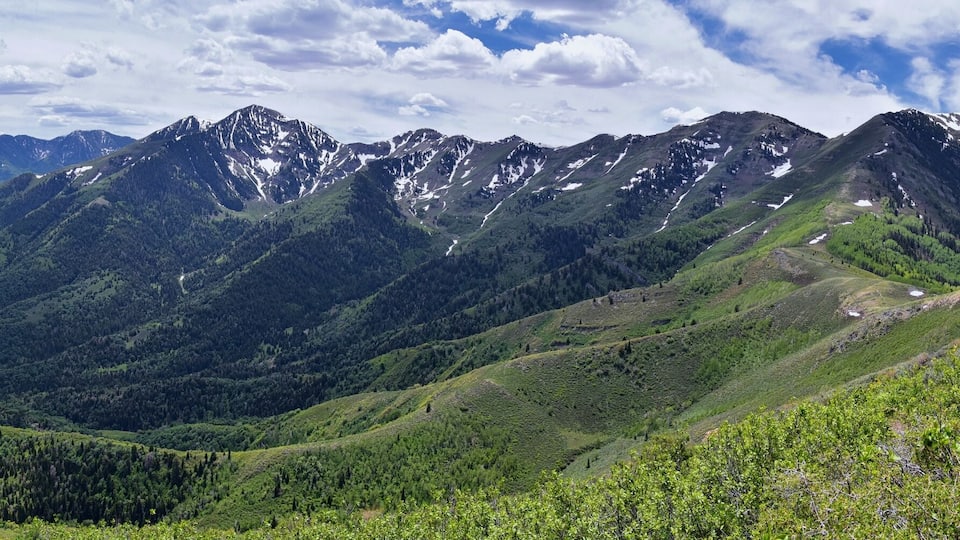 A mountainous landscape with lush greenery and snow-capped peaks.