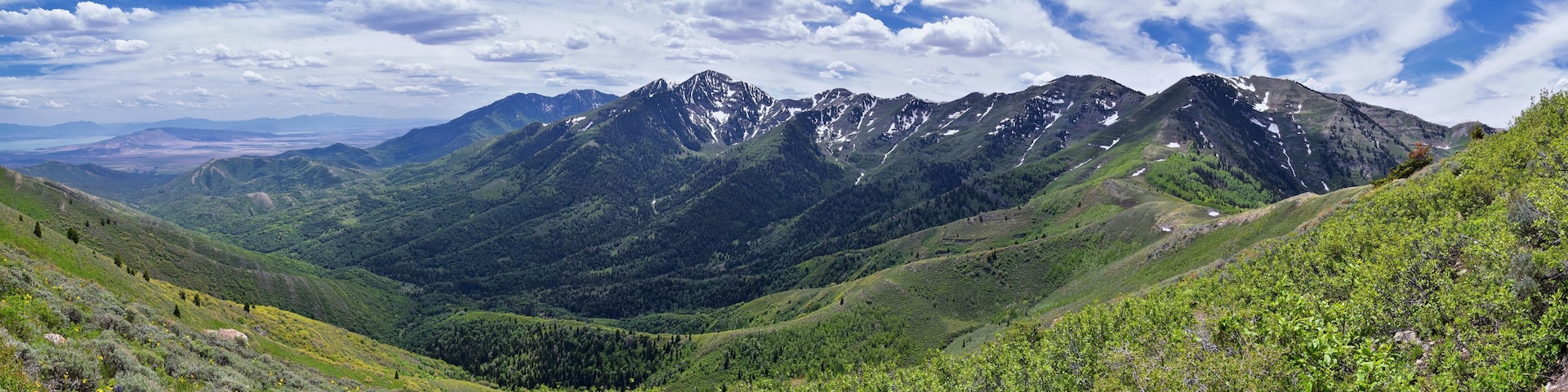Paisagem montanhosa com vegetação exuberante e picos nevados.