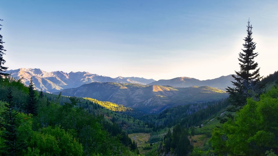 A mountainous landscape with dense forests and snow-capped peaks.