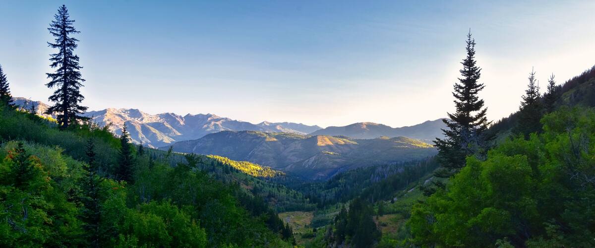 A mountainous landscape with dense forests and snow-capped peaks.