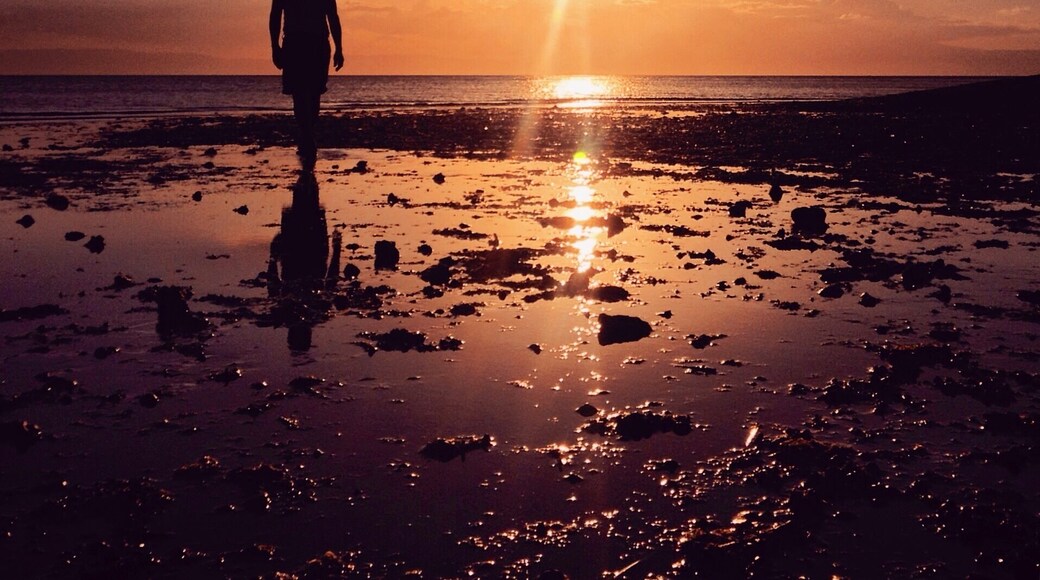 Just wanna share this beautiful sunset in my hometown....
I get used to seeing such scene when i was young that i forgot how to appreciate its beauty...
but as the city chaos swallowed me whole, i realized that nothing gets me better than the warm sunset of this countryside.
#home #sunset