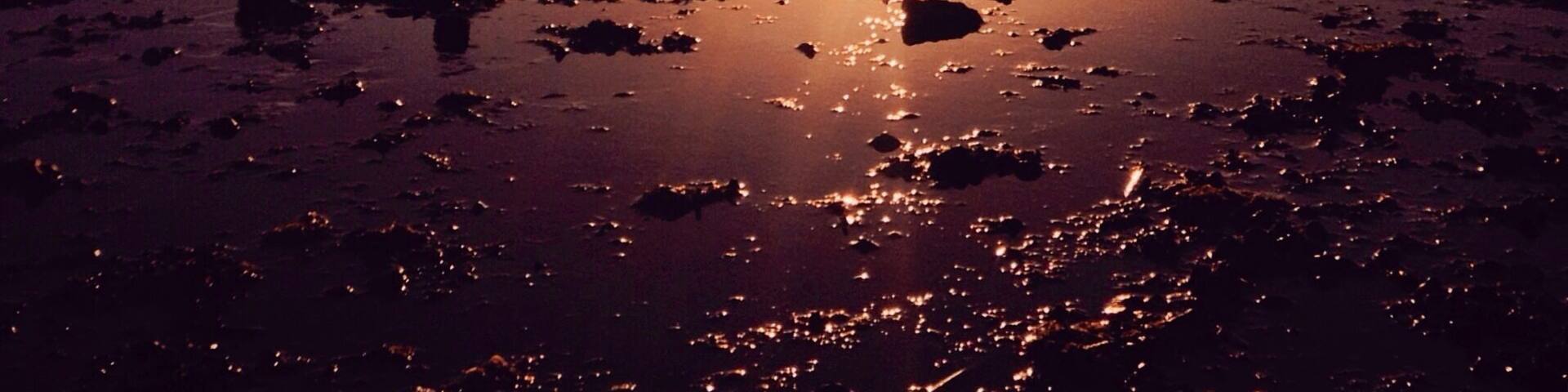 Just wanna share this beautiful sunset in my hometown....
I get used to seeing such scene when i was young that i forgot how to appreciate its beauty...
but as the city chaos swallowed me whole, i realized that nothing gets me better than the warm sunset of this countryside.
#home #sunset