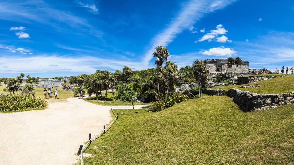 A historical site with ruins and palm trees under a clear blue sky.