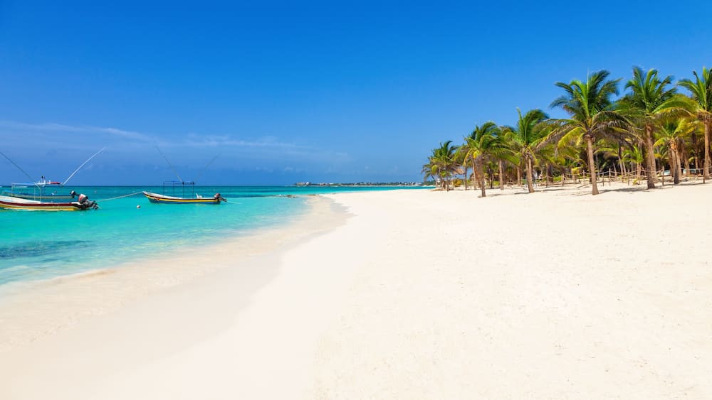 Ein Strand mit weißem Sand, türkisblauem Wasser und Palmen.