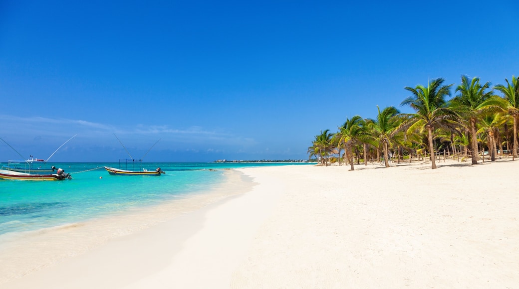 Una spiaggia con sabbia bianca, acqua turchese e palme.