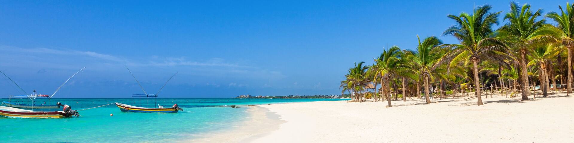 Stunning tropical beach with coconut palms and turquoise waters