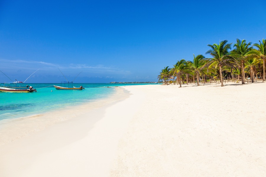 Una playa de arena blanca, agua color turquesa y palmeras.