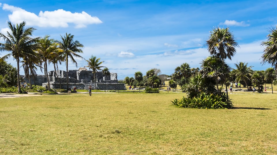 A grassy field with palm trees and ancient ruins in the background.