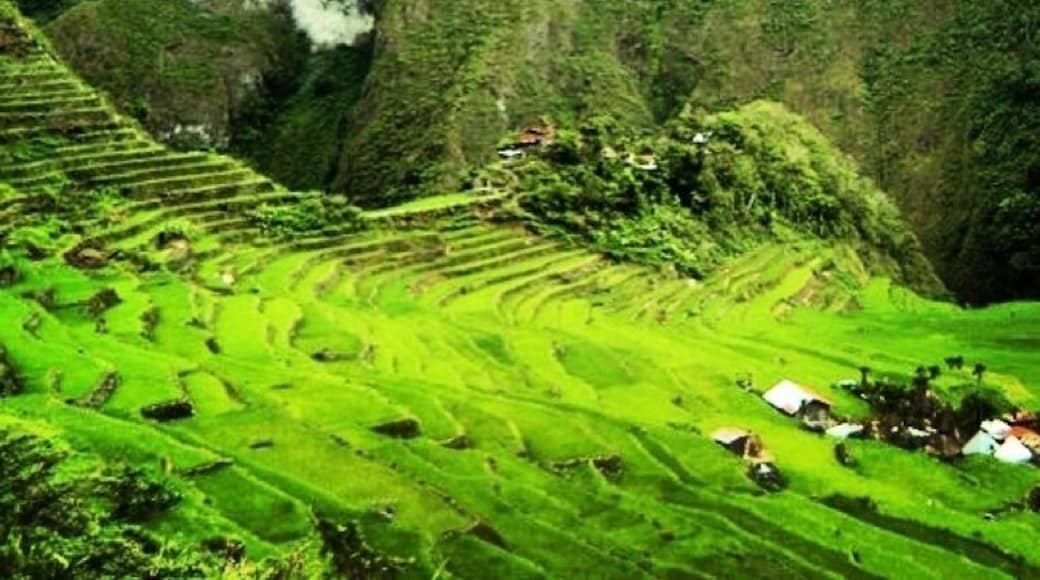 Batad rice terraces in the Philippines is one of the best rice terraces in the world. This is a UNESCO world heritage site. The landscape of this place is breath taking... #roadtrip #weekendgetaway