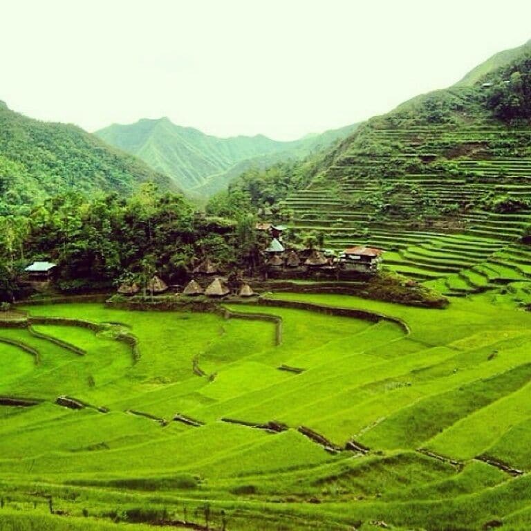 Amphitheater like rice terraces... Best in the world! It's really more fun in the Philippines! #weekendgetaway