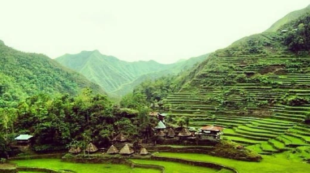 Amphitheater like rice terraces... Best in the world! It's really more fun in the Philippines! #weekendgetaway