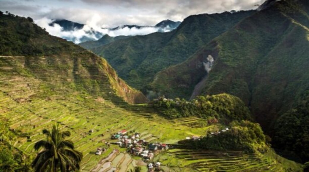 The rice terraces in Batad is more remote than Banaue, both located in the Cordillera region of the Philippines, It is about 5000 FT above sea levels. It is believed to be constructed by hands 2,000 years ago by the indigenous people of Ifugao. Photo courtesy of my good friend Nathan Gonzales.