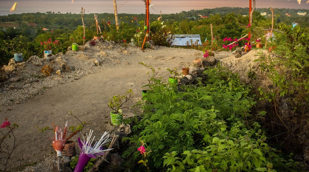 Scenic view of Alejo's Peak park with a sign in Bogo, Cebu, Philippines, at sunset
