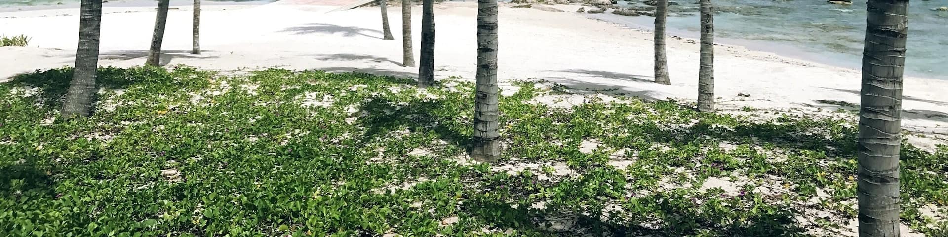 Amazing spot in Playa del Carmen, MX!