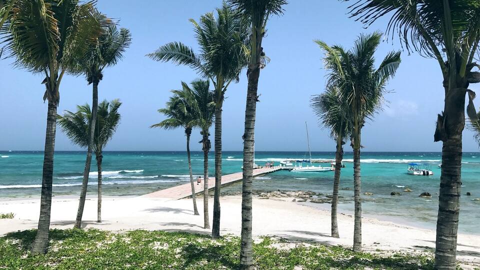 A beach with palm trees, a pier, and boats in the water.