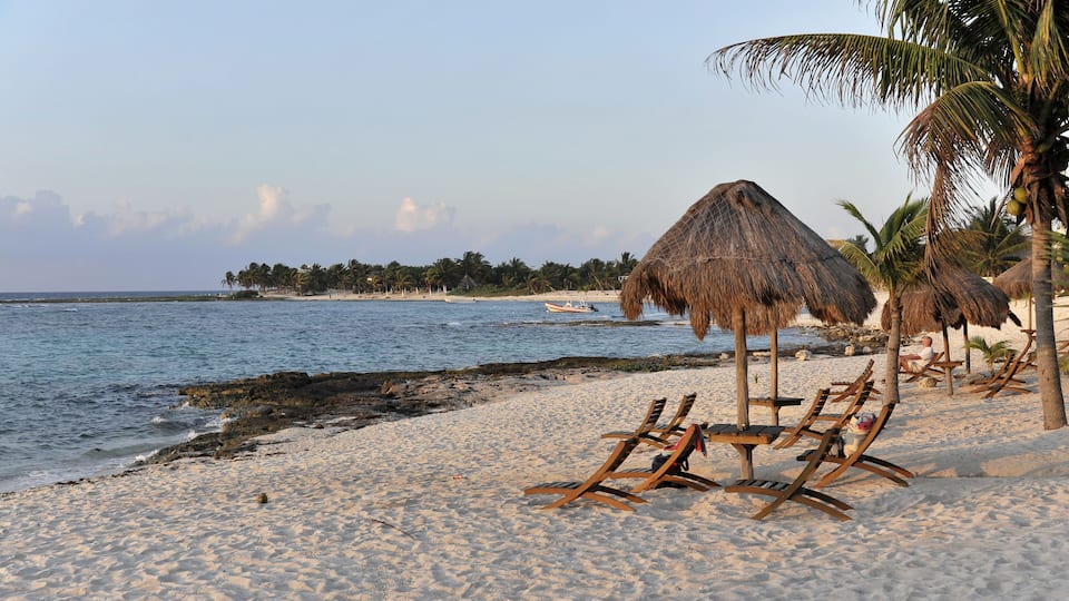 A beach with thatched umbrellas, wooden chairs, and palm trees.