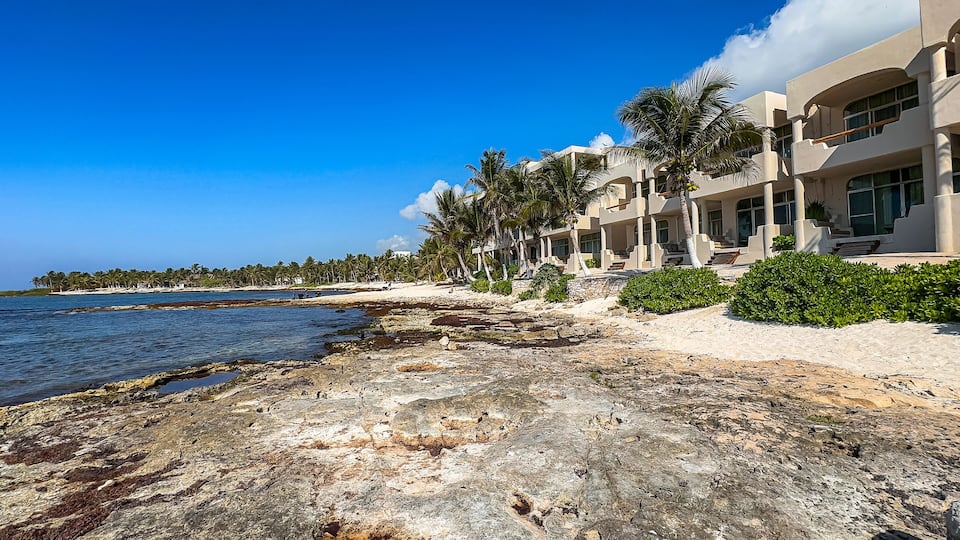 A coastal resort with palm trees, a rocky shoreline, and a clear blue sky.