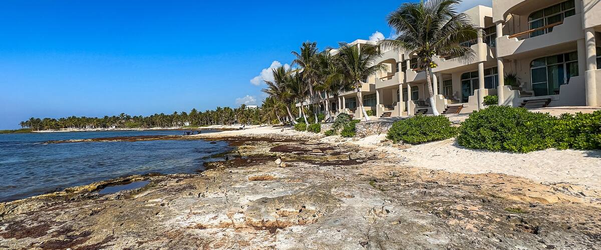 A coastal resort with palm trees, a rocky shoreline, and a clear blue sky.
