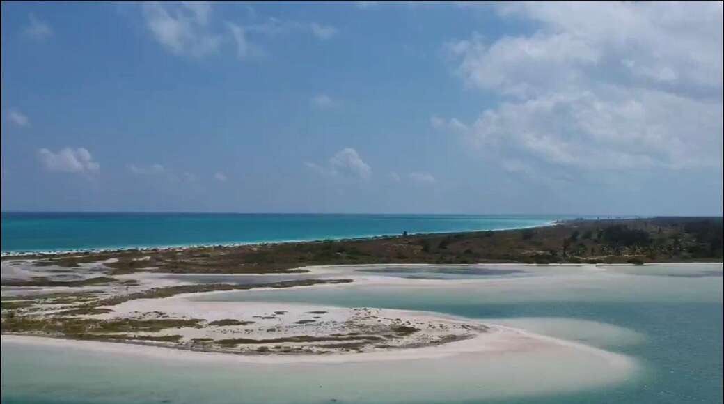 A unas millas náuticas dela hermosa isla de Contoy , un lugar totalmente virgen 💖