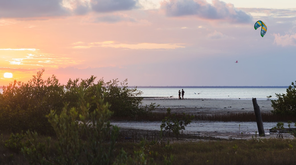 イスラ ブランカ