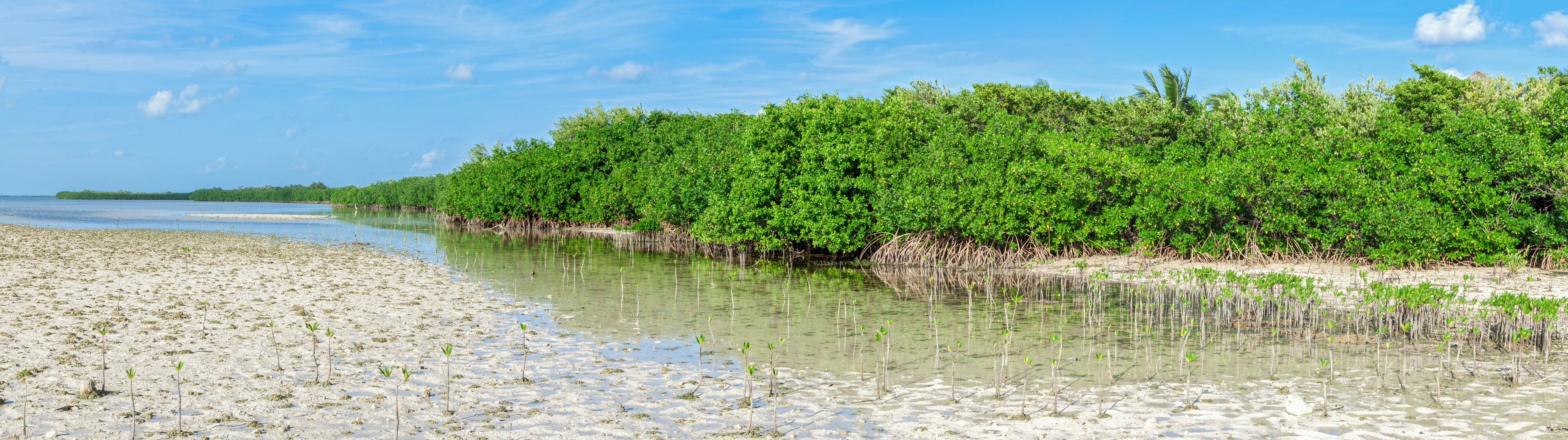 イスラ ブランカ