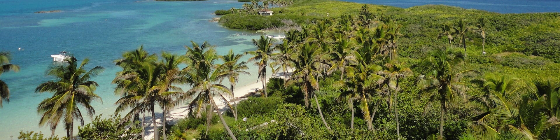 A tropical beach with clear turquoise waters, palm trees, and a distant island.