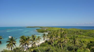 Una playa tropical con aguas turquesas cristalinas, palmeras y una isla distante.