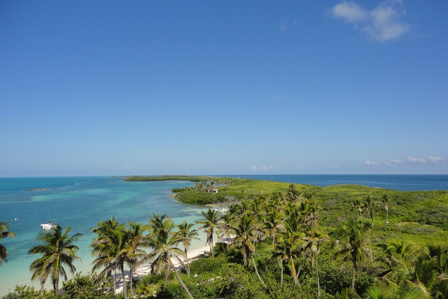 A tropical beach with clear turquoise waters, palm trees, and a distant island.