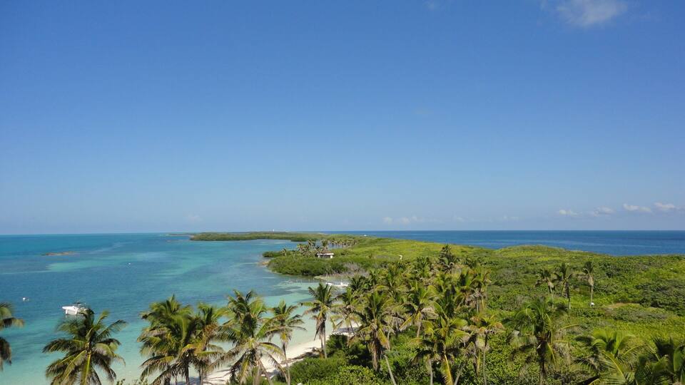A tropical beach with clear turquoise waters, palm trees, and a distant island.