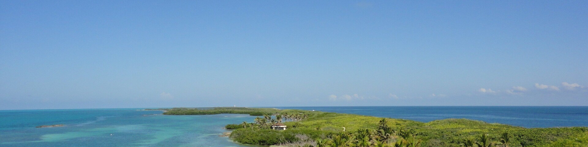 Una playa tropical con aguas turquesas cristalinas, palmeras y una isla distante.