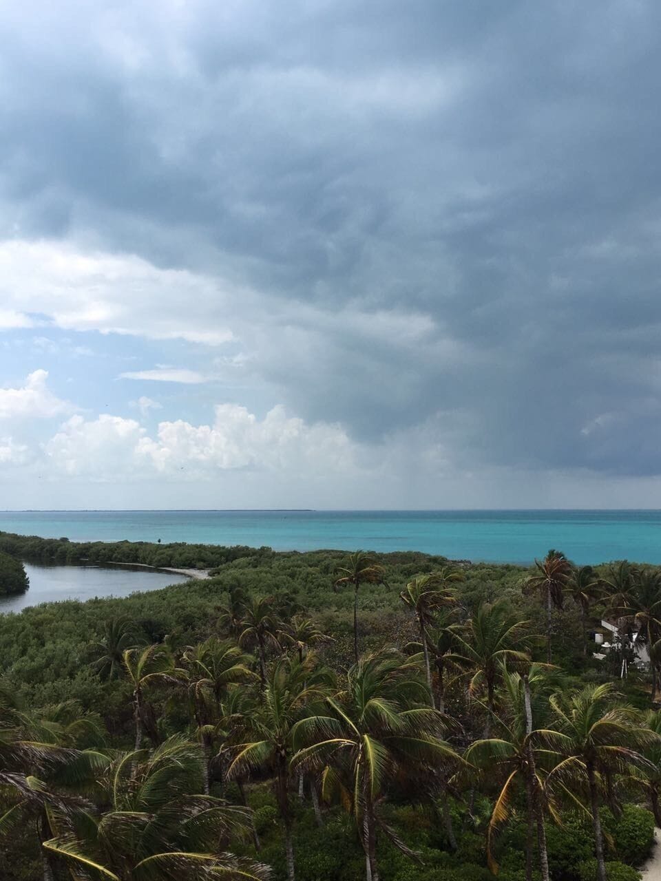 The most beautiful Island! #Nohuman Con me, con te, CONTOY❤️ #Isla #Contoy #Desierta #Nature