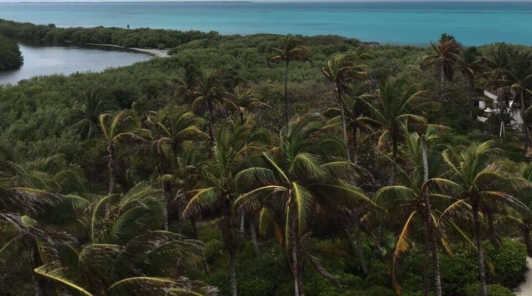 The most beautiful Island! #Nohuman Con me, con te, CONTOY❤️ #Isla #Contoy #Desierta #Nature