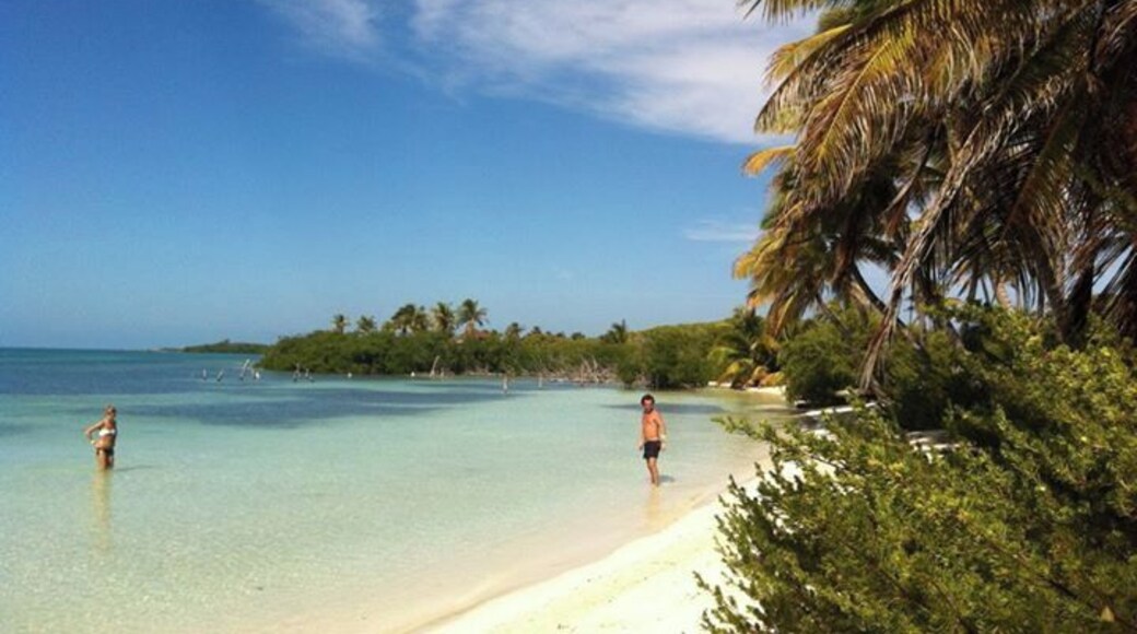 #island of #contoy #mexico