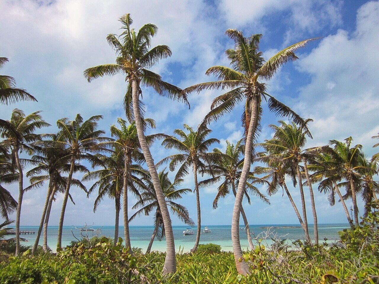 Isla Contoy is a short boat ride away from Cancun, but the atmosphere is almost the opposite. The island is a protected area, which means only a restricted number of visitors are allowed each day - so book a tour in advance. The idyllic island has virgin beaches with crystal clear waters, nearby reefs to snorkel, and is a haven for several bird species. #island #caribbean #mexico #cancun #LifeAtExpedia #beach #BVSBlue