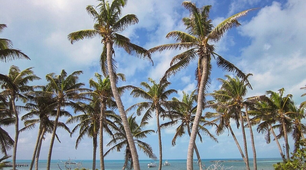 Isla Contoy is a short boat ride away from Cancun, but the atmosphere is almost the opposite. The island is a protected area, which means only a restricted number of visitors are allowed each day - so book a tour in advance. The idyllic island has virgin beaches with crystal clear waters, nearby reefs to snorkel, and is a haven for several bird species. #island #caribbean #mexico #cancun #LifeAtExpedia #beach #BVSBlue