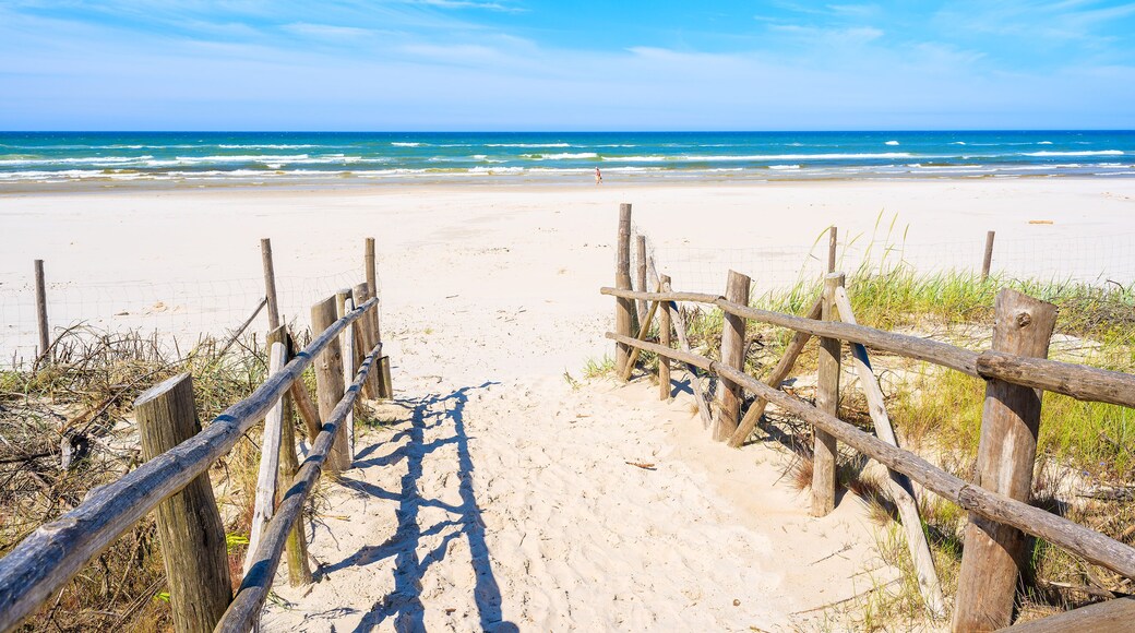 Entrance to sandy Debki beach on coast of Baltic Sea, Poland; Shutterstock ID 474444178