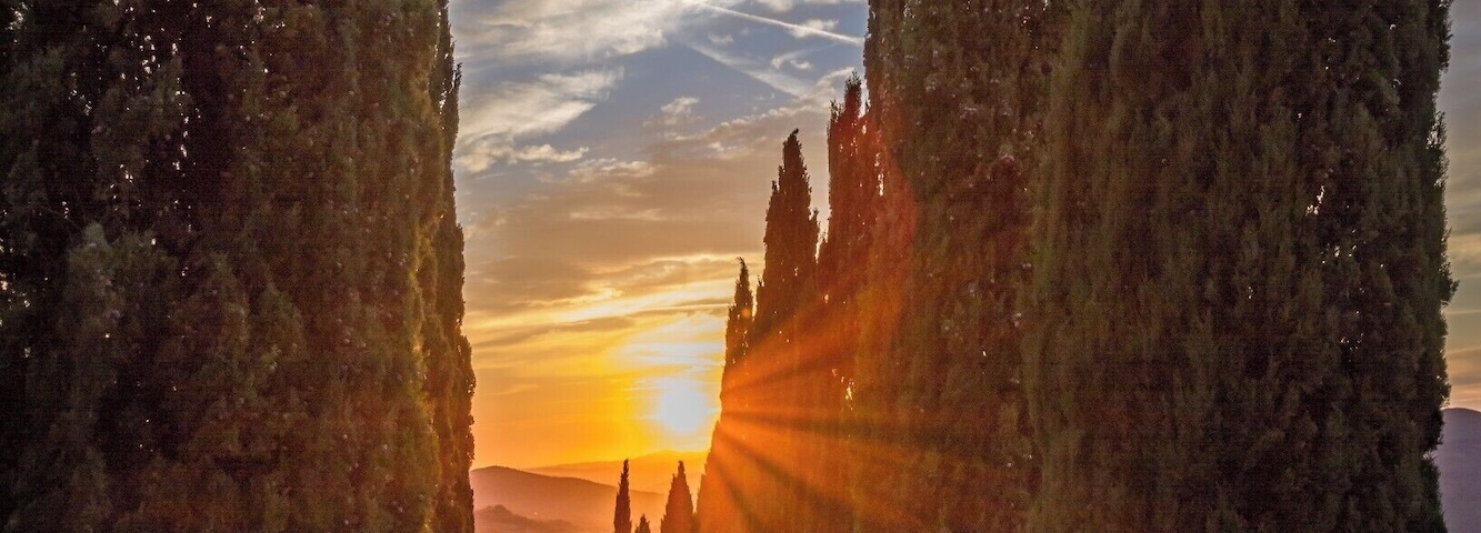 Sunset on a traditional cypress alley near Ponteginori in the Tuscany region of Italy.
