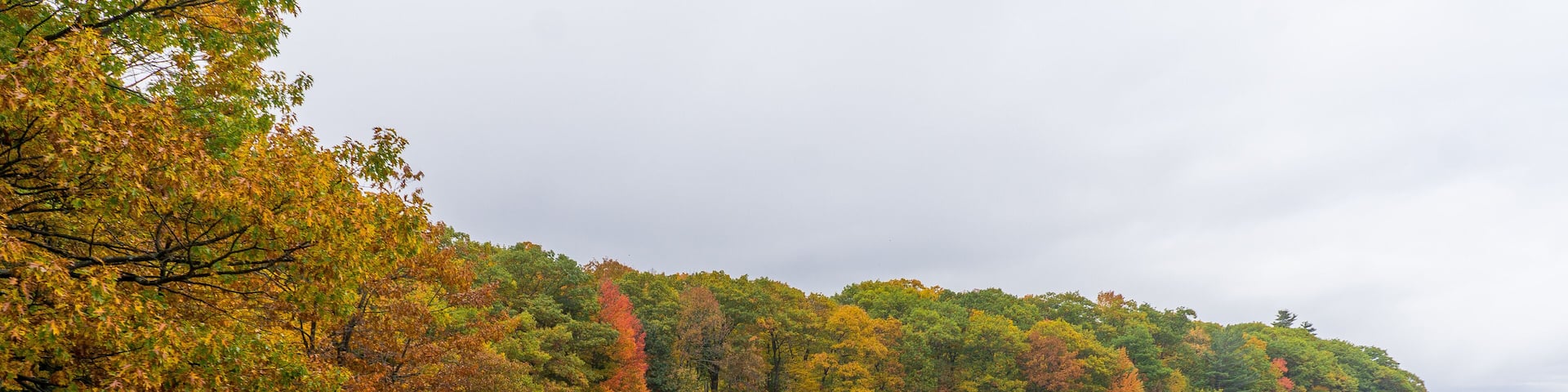 A sandy beach with autumn-colored trees and a calm lake.