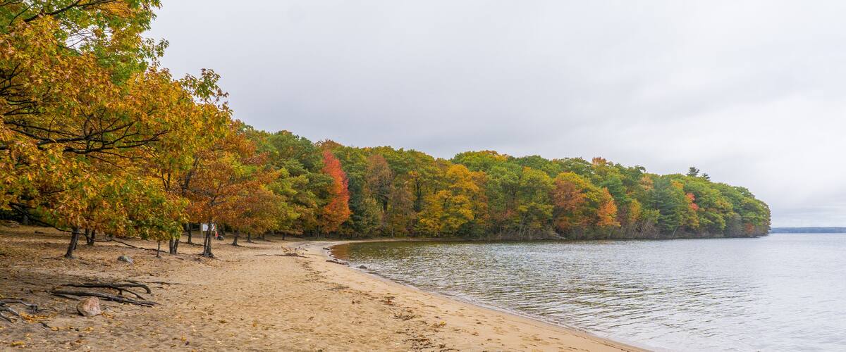 A sandy beach with autumn-colored trees and a calm lake.