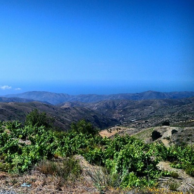 Sierra de la Contraviesa