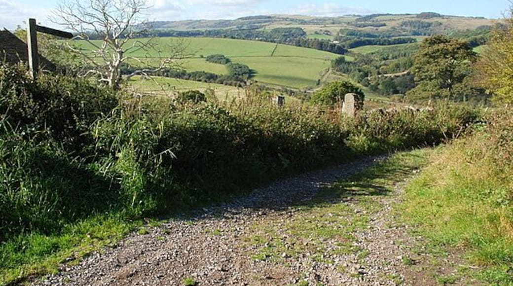 The lane down to the A619 This steep descent is used mainly by walkers and horse riders but scramble bikes and 4*4s have made it virtually impassable in winter.