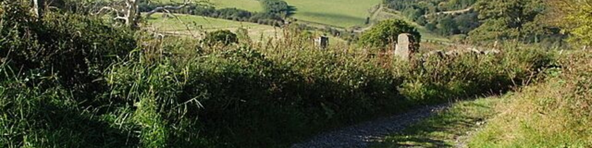 The lane down to the A619 This steep descent is used mainly by walkers and horse riders but scramble bikes and 4*4s have made it virtually impassable in winter.