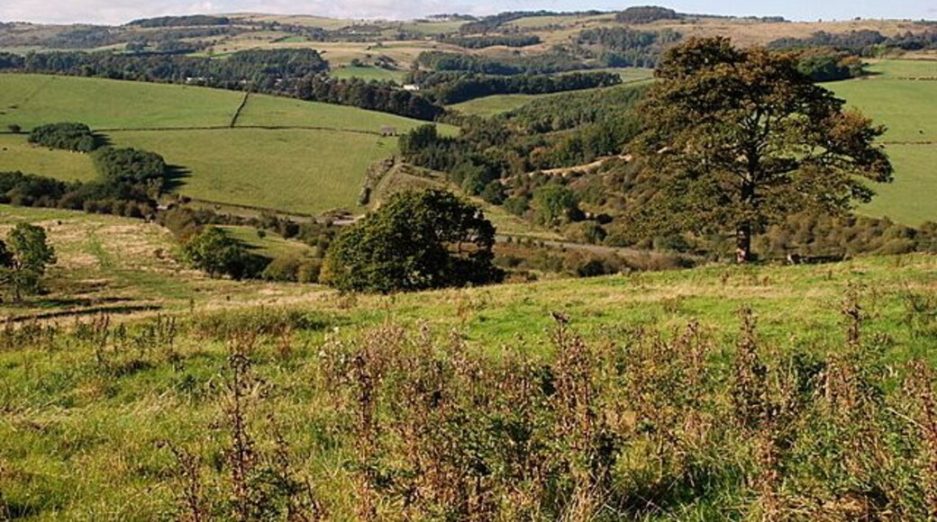 Viewpoint near Pilsley Rough grazing predominates in this area, but on the other side of the valley, which is still in the square, more cultivated grassland is the norm.
