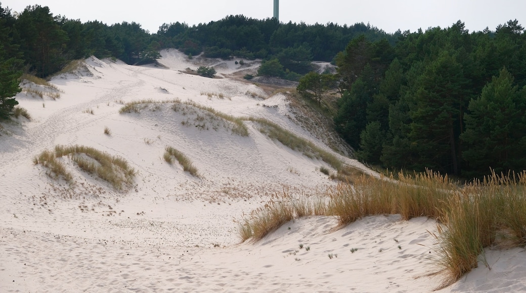 A sandy dune landscape with sparse vegetation and a lighthouse in the distance.