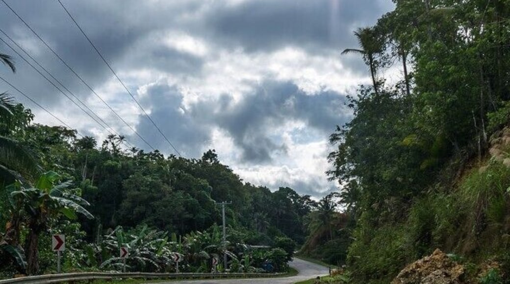 Do you ever want to just walk alone on a road like this, where you can't stop walking around the next corner because you then think you'll miss out on something really beautiful? We do. And we did. We ended up walking a few km until we had to turn around before it was getting dark😊 #travel #naturelovers #bohol #travelphotography #offthebeatenpath #happylife #twohobos #travel #philippines #wanderlust #wonderful_places #igtravel #TroveOn