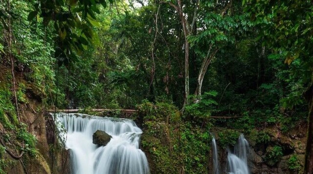 The photo says it all. We had the best time enjoying this lovely Mag-Aso falls in Bohol. All alone with no other tourists, just how we like it the most👌☺️😍 #bohol #magaso-falls #waterfall #offthebeatenpath #loveit #travel #tlpics #travelingtheworld #nature #amazing #beautiful #wanderlust #wonderful_places #lonelyplanet #ourtravelife #outdoor #happylife #TroveOn